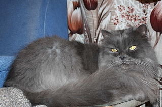 1920 X 1263 629.4 Kb   - .    ) !