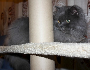 1920 X 1487 515.3 Kb   - .    ) !