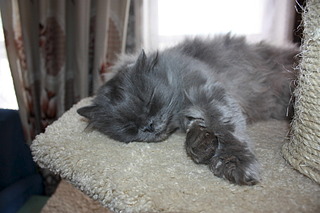 1920 X 1280 458.2 Kb   - .    ) !