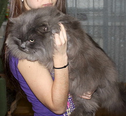 1901 X 1755 252.8 Kb   - .    ) !