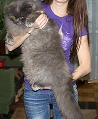 1764 X 2157 240.4 Kb   - .    ) !