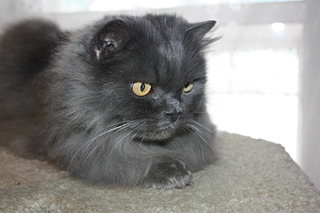 1920 X 1280 342.5 Kb   - .    ) !