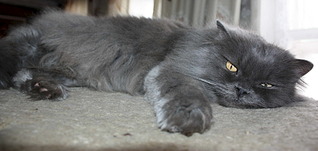 1920 X 910 331.6 Kb   - .    ) !