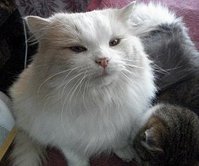 604 X 504 63.4 Kb    !