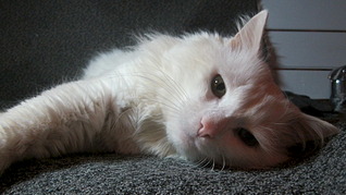 1920 X 1079 447.1 Kb 640 X 480 172.6 Kb   