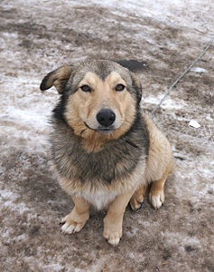 1920 X 2428 354.4 Kb 1920 X 1322 676.1 Kb  -  