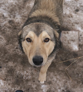 1920 X 2129 1018.7 Kb 1920 X 2428 354.4 Kb 1920 X 1322 676.1 Kb  -  