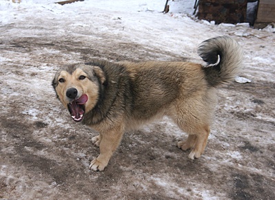 1920 X 1393 928.3 Kb  -  