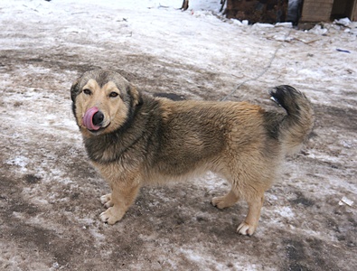 1920 X 1455 919.4 Kb 1920 X 1393 928.3 Kb  -  