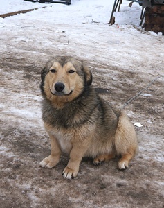 1841 X 2330 347.2 Kb 1920 X 1455 919.4 Kb 1920 X 1393 928.3 Kb  -  