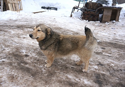 1920 X 1342 899.6 Kb 1841 X 2330 347.2 Kb 1920 X 1455 919.4 Kb 1920 X 1393 928.3 Kb  -  