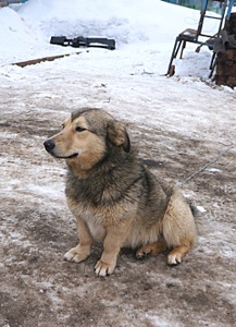 1920 X 2652 398.9 Kb  -  