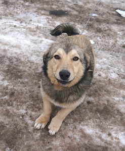 1920 X 2325 332.8 Kb 1920 X 2652 398.9 Kb  -  