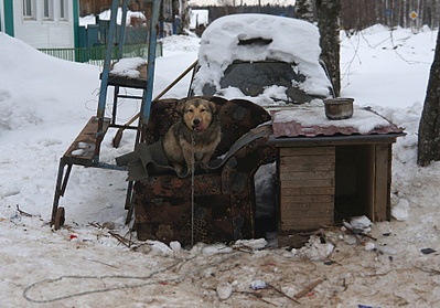 1920 X 1342 636.7 Kb 1920 X 2325 332.8 Kb 1920 X 2652 398.9 Kb  -  