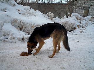 1920 X 1440 690.2 Kb     