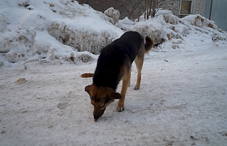 1920 X 1230 173.5 Kb     