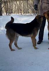 1660 X 2370 286.1 Kb     