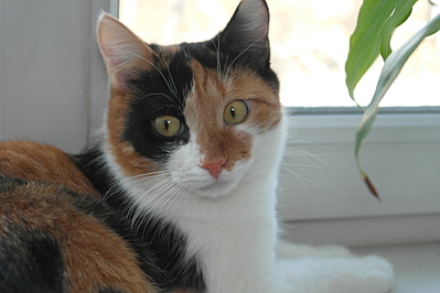 1920 X 1280 713.0 Kb  ,      .