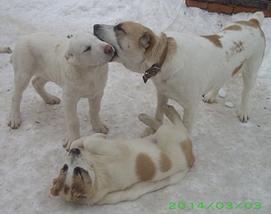 1920 X 1518 654.9 Kb 1920 X 1413 636.8 Kb 1920 X 1941 848.9 Kb    