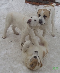 1733 X 2097 750.1 Kb 1920 X 1518 654.9 Kb 1920 X 1413 636.8 Kb 1920 X 1941 848.9 Kb    