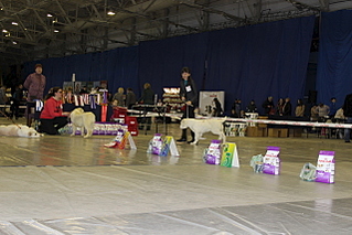 640 X 427 153.1 Kb 640 X 427 112.3 Kb    