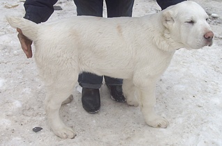 1920 X 1261 548.8 Kb 640 X 427 153.1 Kb 640 X 427 112.3 Kb    