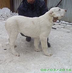 1920 X 1941 848.9 Kb 1920 X 1413 636.8 Kb 1920 X 1261 548.8 Kb 640 X 427 153.1 Kb 640 X 427 112.3 Kb    