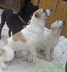 1920 X 2074 831.8 Kb 1629 X 2169 799.6 Kb 1709 X 1465 597.3 Kb    