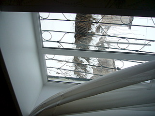 1600 X 1200 702.9 Kb 1920 X 1440 167.3 Kb   1     - 1100 . . 