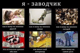 600 X 400 64.6 Kb Улыбнемся?