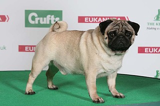 864 X 576 73.4 Kb -2014