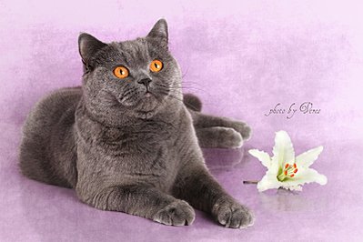 1600 X 1067 269.0 Kb   