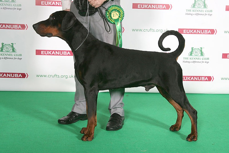 864 X 576 117.1 Kb -2014