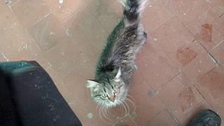 1920 X 1080 369.6 Kb         