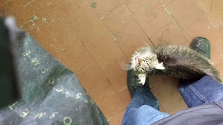 1920 X 1080 419.3 Kb 1920 X 1080 369.6 Kb         