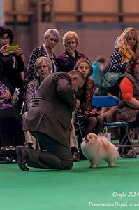 531 X 800 45.9 Kb -2014