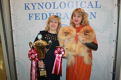 960 X 640 84.3 Kb -2014