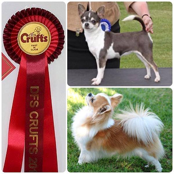 960 X 960 109.6 Kb -2014