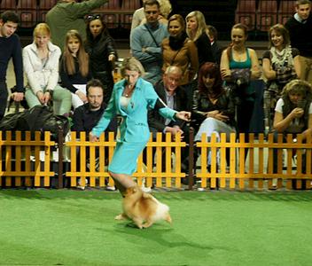 960 X 817 106.5 Kb -2014