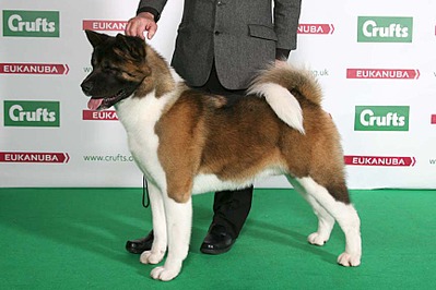 864 X 576 74.8 Kb -2014