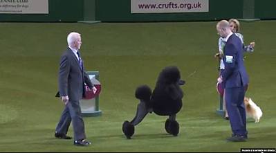 960 X 531 29.9 Kb 800 X 576 60.0 Kb -2014