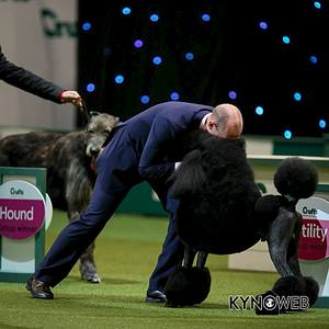 960 X 960 69.8 Kb 960 X 960 105.8 Kb 960 X 531 29.9 Kb 800 X 576 60.0 Kb -2014