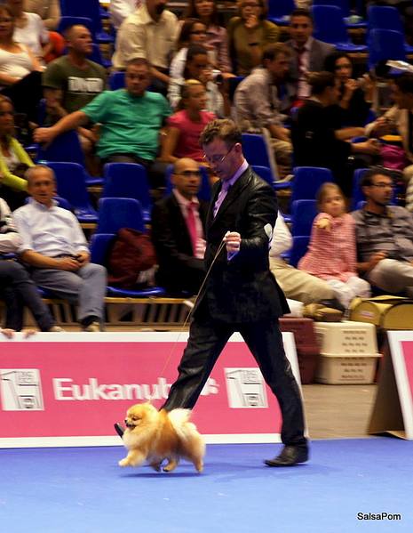 745 X 960  82.6 Kb -2014