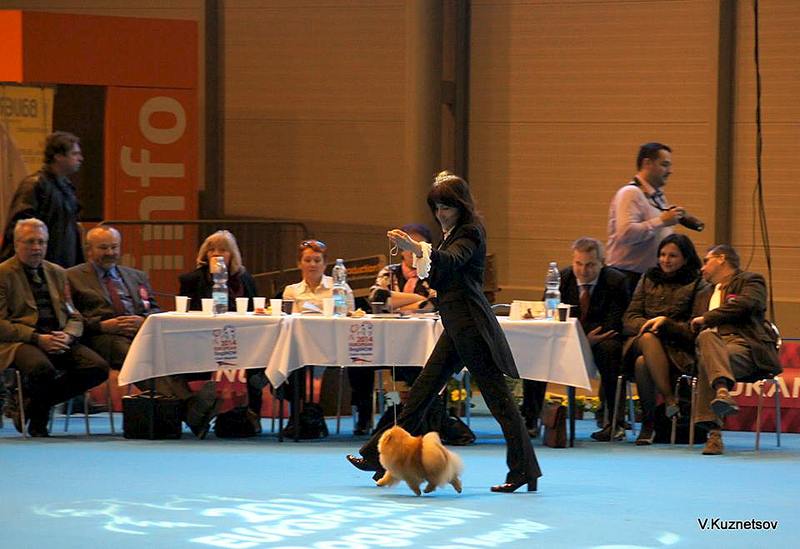 960 X 659  71.6 Kb 960 X 711 130.3 Kb 960 X 892  58.0 Kb 745 X 960  82.6 Kb -2014