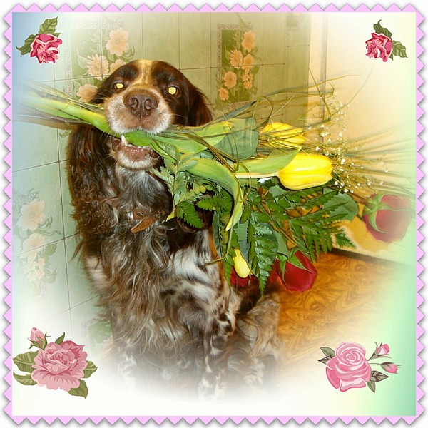 1450 X 1450 424.0 Kb Встречаемся и знакомимся