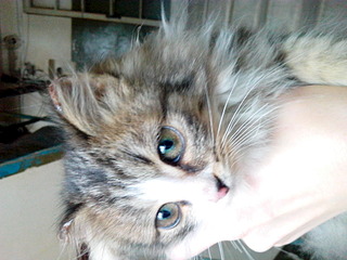 1920 X 1440 566.2 Kb   