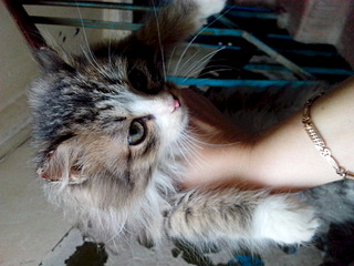 1920 X 1440 584.5 Kb 1920 X 1440 680.6 Kb 1920 X 1440 566.2 Kb   