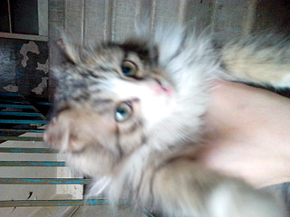 1920 X 1440 505.2 Kb 1920 X 1440 634.5 Kb 1920 X 1440 584.5 Kb 1920 X 1440 680.6 Kb 1920 X 1440 566.2 Kb   