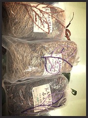 600 X 800 221.4 Kb   (, )  ,  , , !