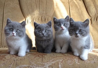 1920 X 1347 176.3 Kb 1920 X 1360 160.0 Kb   